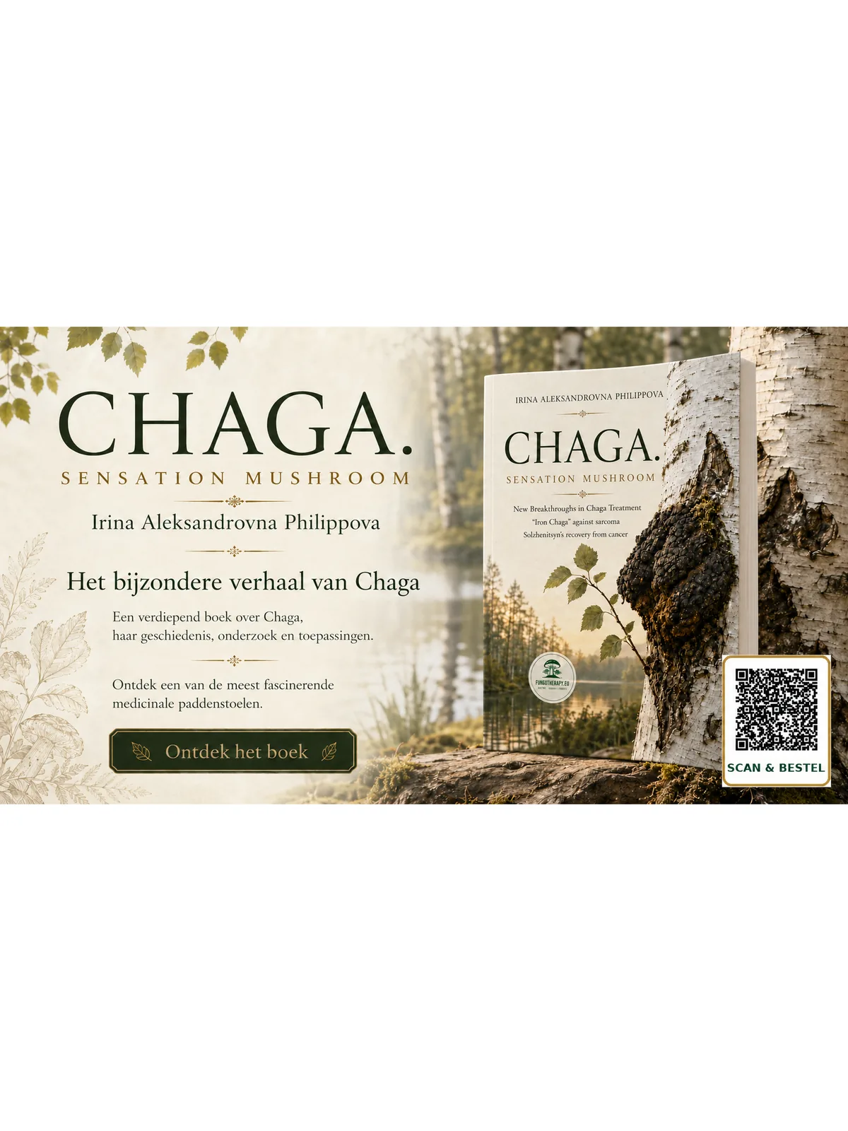 Chaga. Sensation Mushroom — Irina A. Philippova
